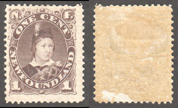 Newfoundland Scott 43 Mint F (P) - Click Image to Close